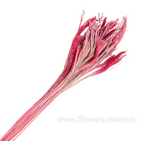 Букет из сухих колосовых культур "Могар", H60 см - фото 1