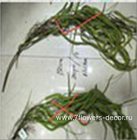 Растение искусственное ампельное "Амарант", H150 см - фото 1