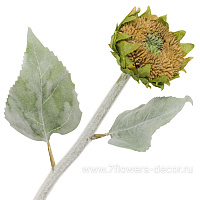 Цветок искусственный "Подсолнух", H50 см - фото 1