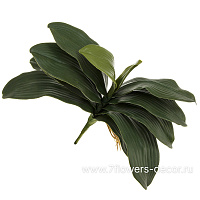 Растение искусственное "Листья орхидеи", H34 см, с силиконовым покрытием - фото 1