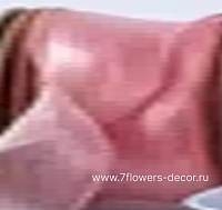 Лента органза, 40 ммx10 ярд, на леске - фото 1