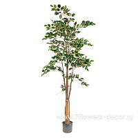 Дерево искусственное в кашпо "Фикус", H183 см, 705 листьев - фото 1
