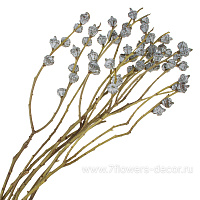 Сухоцветы, H60 см, набор - фото 1