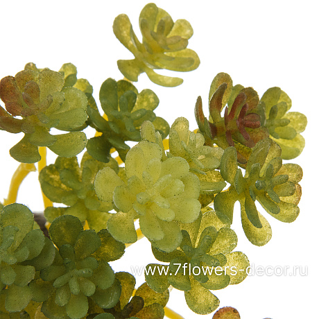 Растение искусственное Суккулент Эхеверия красная, 8xH8 см - фото 2