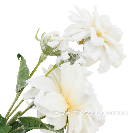 Цветок искусственный заснеженный Георгина, H55 см - фото 2