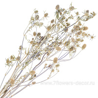 Сухоцветы "Эрингиум (Синеголовик)", H50 см, набор (5 шт) - фото 1