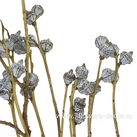 Сухоцветы, H60 см, набор - фото 2
