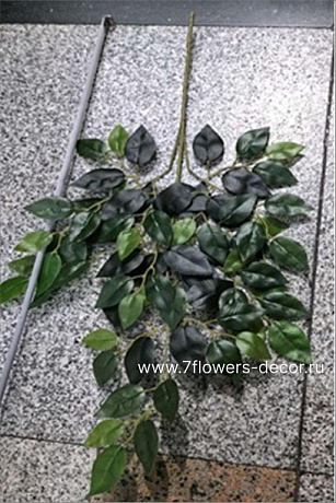 Ветка искусственная Фикус Бенжамина, H60 см - фото 1