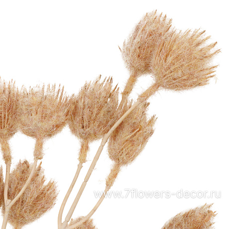 Растение искусственное Гомфрена, H78 см - фото 2