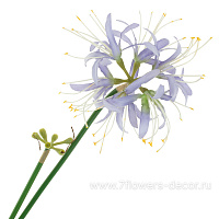 Цветок искусственный "Агапантус", H62 см - фото 1