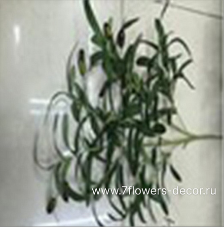 Ветка искусственная Олива, H94 см - фото 1