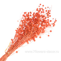 Букет из сухих колосовых культур "Лён", H40 см - фото 1