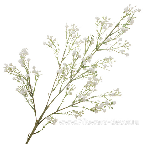 Растение искусственное Хамелациум, H81 см - фото 1