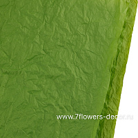 Бумага жатая, 56x56 см, набор (5 шт), влагостойкая - фото 1