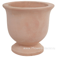Кашпо Nobilis Marco "Anterra Cup", (терракота), D16хН15 см - фото 1