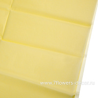 Бумага тишью, 51x66 см, 17 г/м2, набор (10 шт) - фото 1