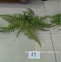Растение искусственное "Папоротник Нефролепис", H45 см - фото 1