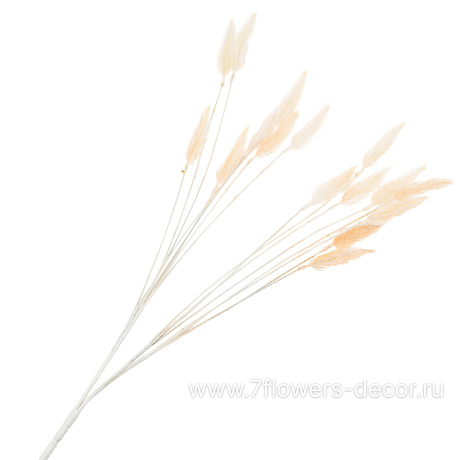 Растение искусственное Лагурус, H55 см - фото 1