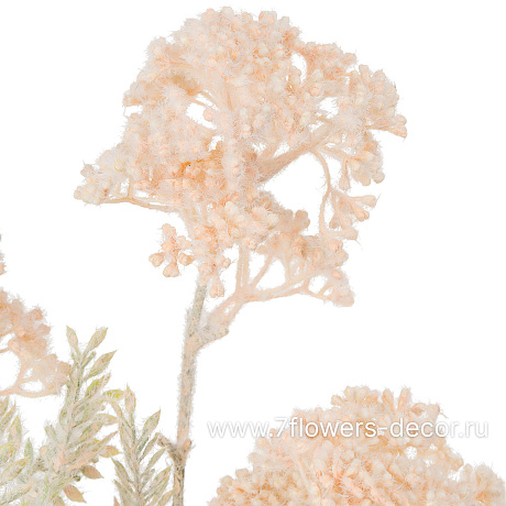 Цветок искусственный Озотамнус, H70 см - фото 2