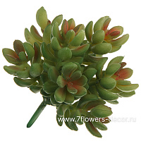 Растение искусственное "Суккулент Седум красноокрашенный", 12xH12 см - фото 1