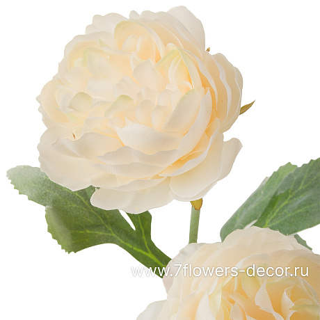 Цветок искусственный Ранункулюс, H52 см - фото 2