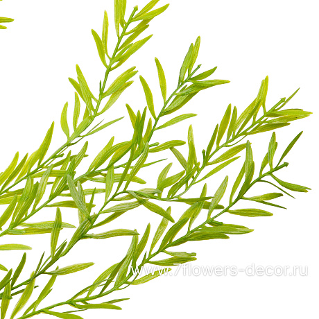 Растение искусственное ампельное Аспарагус, H95 см - фото 2