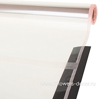 Пленка прозрачная, 57 смх10 м, 53 mic, с цветной окантовкой - фото 1