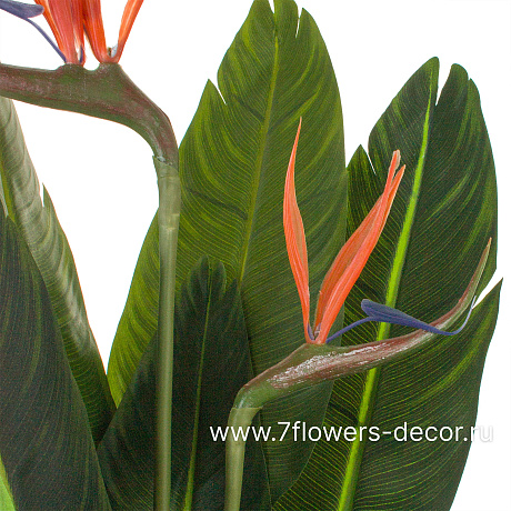 Цветок искусственный Стрелиция, H105 см, 8 веток - фото 2