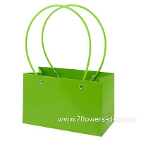 Сумка подарочная (картон), 22x10,5xH13,5 см, набор (10 шт), с ламинацией - фото 1