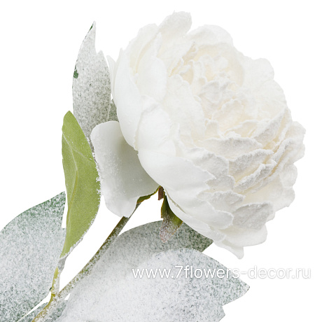 Цветок искусственный заснеженный Пион, H76 см - фото 2