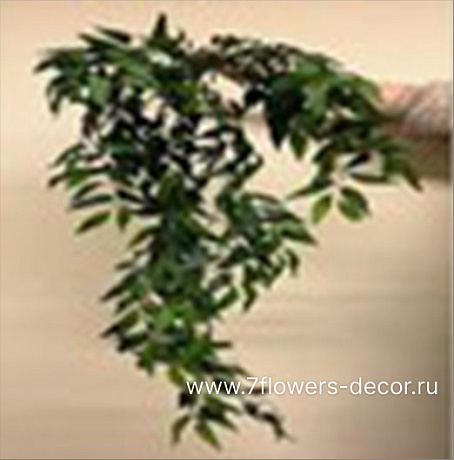 Растение искусственное ампельное Зизифус, H110 см - фото 1