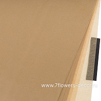 Бумага тишью, 51x66 см, 17 г/м2, набор (40 шт) - фото 1