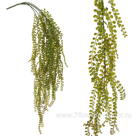 Растение искусственное ампельное Фикус пумила, H90 см - фото 1