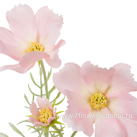 Цветок искусственный Космея, H78 см - фото 2