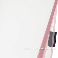 Пленка матовая "Окантовка узкая цветная", 58x58 см, 53 mic, набор (20 шт) - фото 1