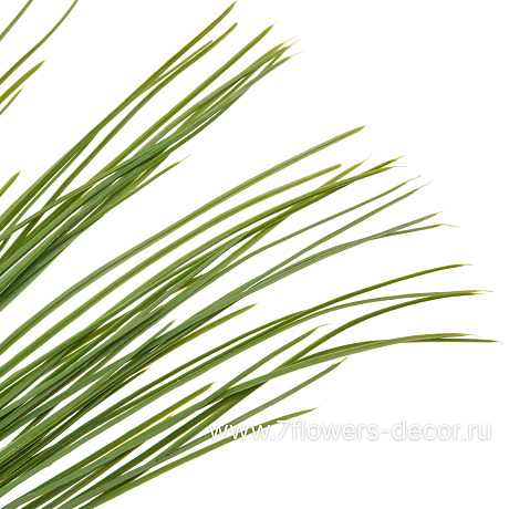 Растение искусственное Трава, H47 см - фото 2