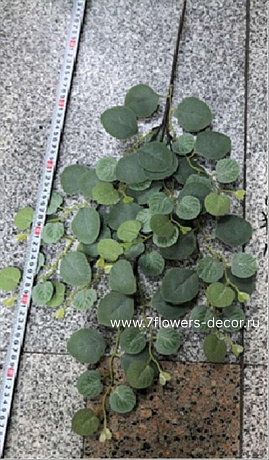 Ветка искусственная Эвкалипт, H62 см - фото 1