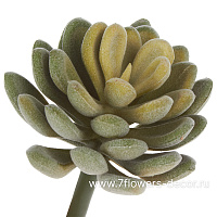 Растение искусственное "Суккулент Седум Эллис", 7xH11 см - фото 1