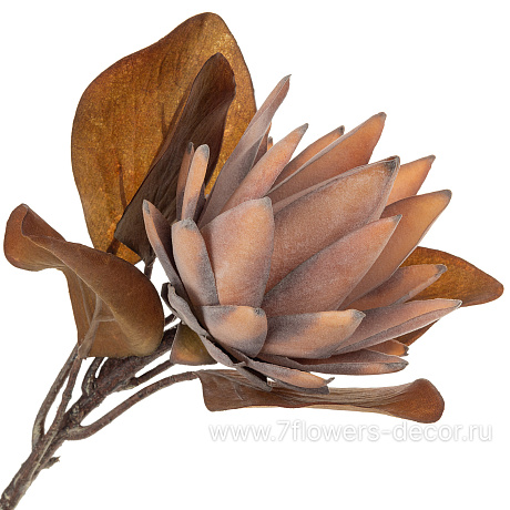 Цветок искусственный Протея, H53 см - фото 1
