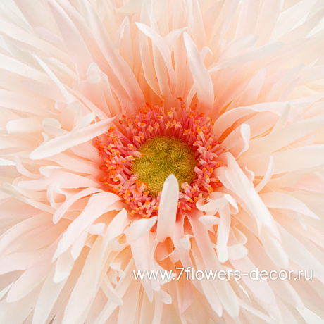 Цветок искусственный Гербера Спайдер, H66 см - фото 3