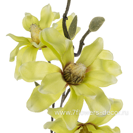 Цветок искусственный Магнолия, H68 см - фото 2