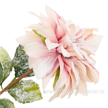 Цветок искусственный заснеженный Георгина, H72 см - фото 2
