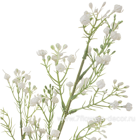 Растение искусственное Хамелациум, H81 см - фото 2