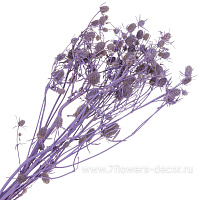 Сухоцветы "Эрингиум", H50 см, набор (5 шт) - фото 1