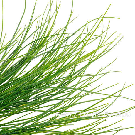 Растение искусственное Трава, H59 см - фото 2