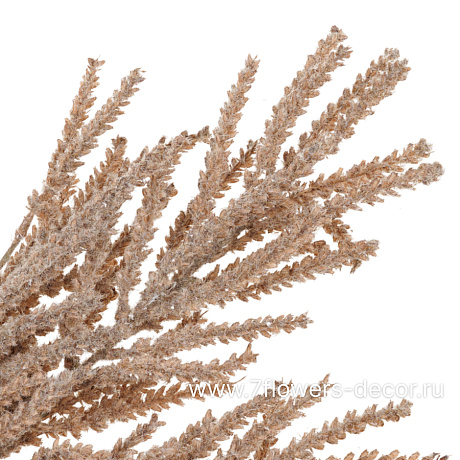Цветок искусственный Шероховатка раскидистая, H82 см - фото 2