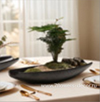 Блюдо декоративное "Magnetic" (керамика), 42x12xH6 см - фото 1