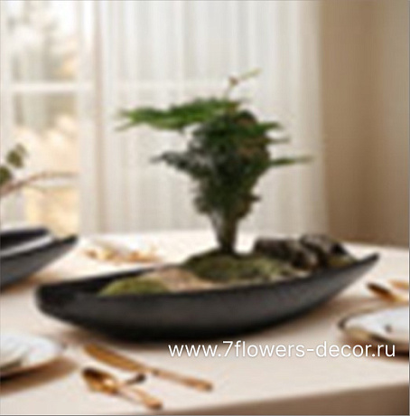 Блюдо декоративное Magnetic (керамика), 42x12xH6 см - фото 1