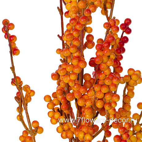 Ветка искусственная (пластик), H70 см - фото 2