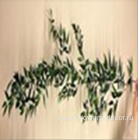 Растение искусственное ампельное Зизифус, H170 см - фото 1